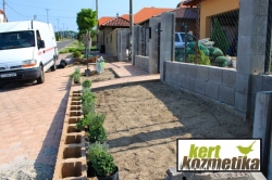 Flórakosaras növényültetés (13)